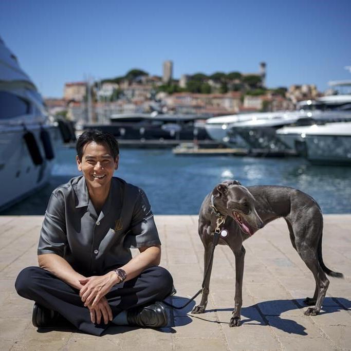 The real stars of Cannes may be the dogs